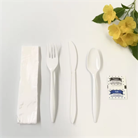Cutlery Set from disposablesInc.com. The best import service in China. Import your disposable items from us.